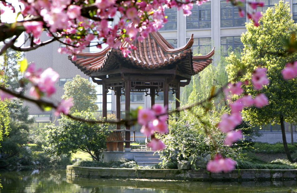 『浙江工业大学』国内最厉害的“工业大学”, 两所985三所211, 还有4所双非也在列