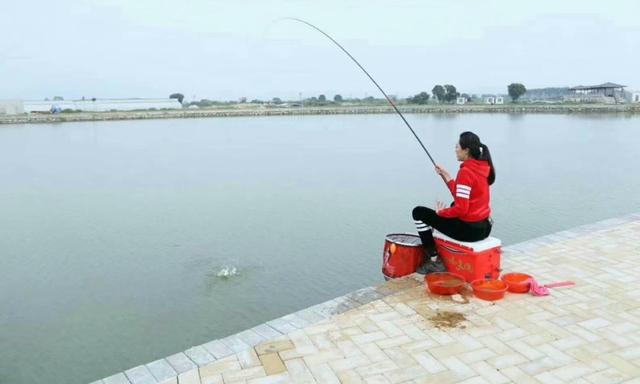 「鲫鱼」「用杆之道」献给在钓鱼路上的新人