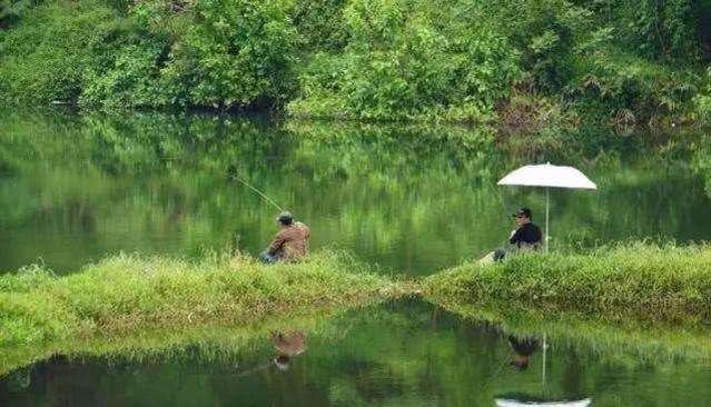深水区▲夏天气温高、气压低，钓鱼很难，教你5招，野钓不落空