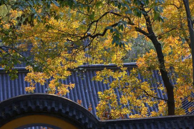 [生肖]在今年夏季，运势上上签，将会赢得财富、荣誉，幸福没烦恼的生肖！