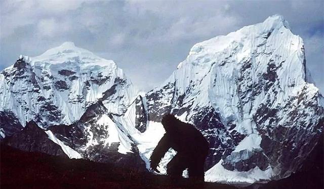 「大地震」专家证实中国存在大地震带，会给喜马拉雅山造成毁灭性的影响