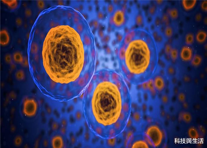 [癌细胞]如果人不小心吃了一块癌细胞，身体会有何反应？答案难以置信！