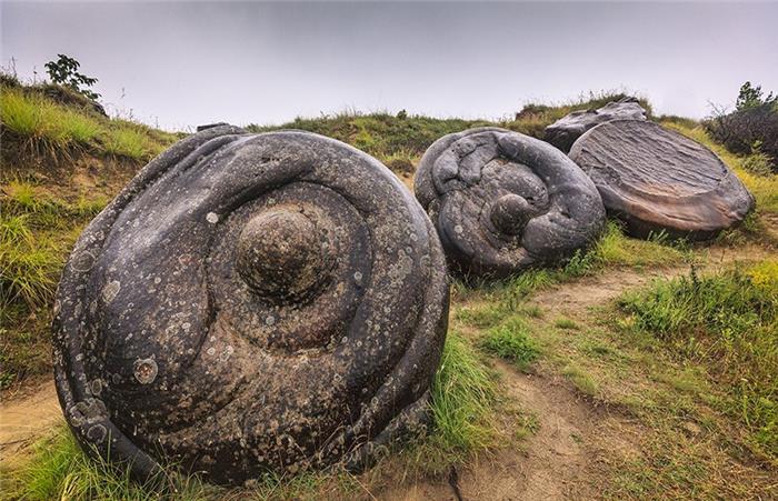 『隔离』“会逃跑”的石头，会喝水长大，科学家切开之后发现端倪！