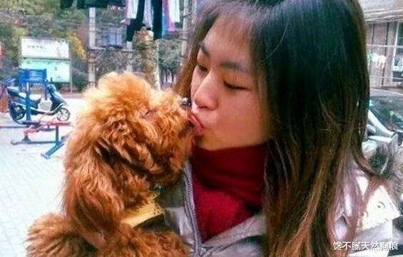 为什么狗狗喜欢舔人? 兽医给出了这7点解释，看完恍然大悟