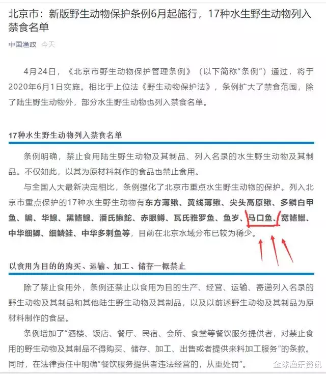 北京市▲钓鱼人注意了!新增17种水生动物被禁食,马口鱼在列,别再乱钓了