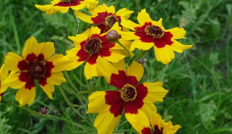 运势@6月开始运势直线升高，事业成功，财富高涨的星座