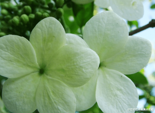 []六月下旬好运连连，4属相大吉大利，喜事临门，身心愉悦