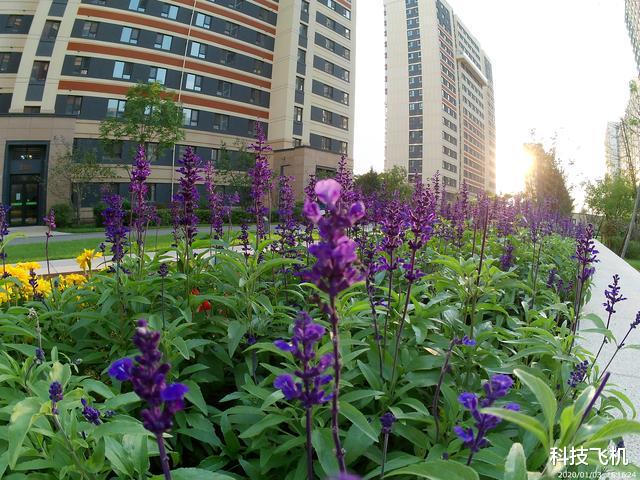 windows10|499元效果堪比微单，小米有品上线运动相机，国庆出游必须带上