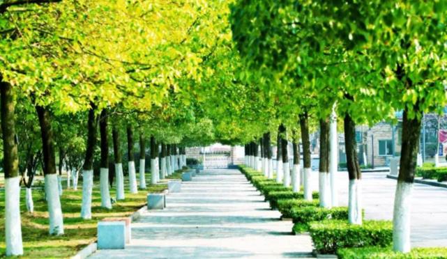 『』开学13天以后，又再此的被迫停课，为何钟南山还要坚持开学？