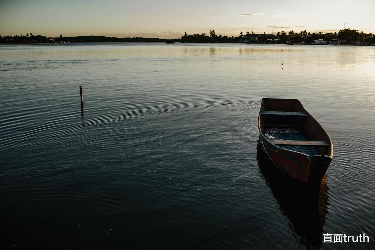 神经元|给大脑创造一个能够协助你成长的学习环境吧