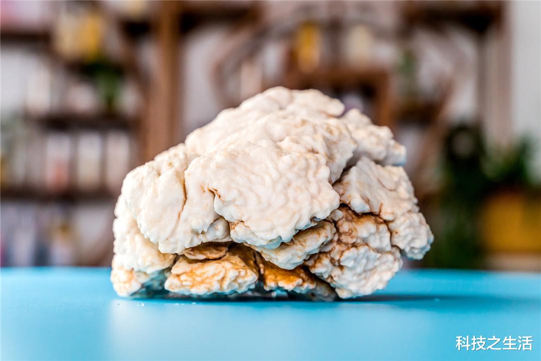 秦始皇|秦始皇毕生都在寻找的东西，却被一个男子捡到了，永生是真的吗？