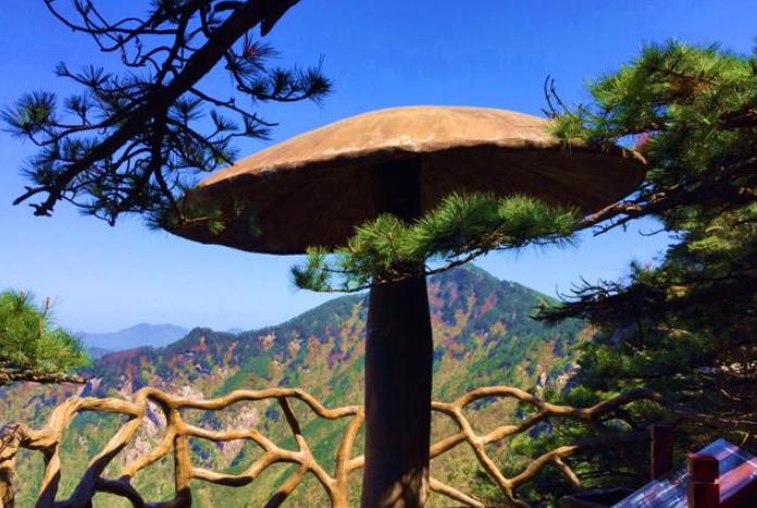 『天堂寨』这个5A级景区几乎零差评，一张门票能玩48小时，仿佛人间天堂