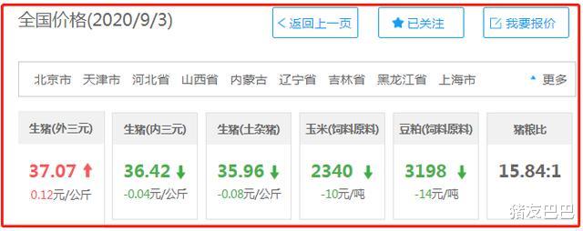 生猪价格|9月3日猪价:连涨不止!24400吨冻肉来袭,猪价上涨“压不住”?