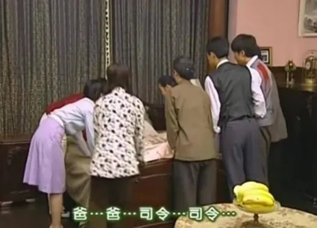 【】情深深雨蒙蒙: 陆振华躺在病床上后, 才看懂他最偏爱哪个女儿