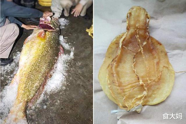 龙虾|全世界最“奢侈”的4种海鲜，最后一个产自中国，很少有人见过