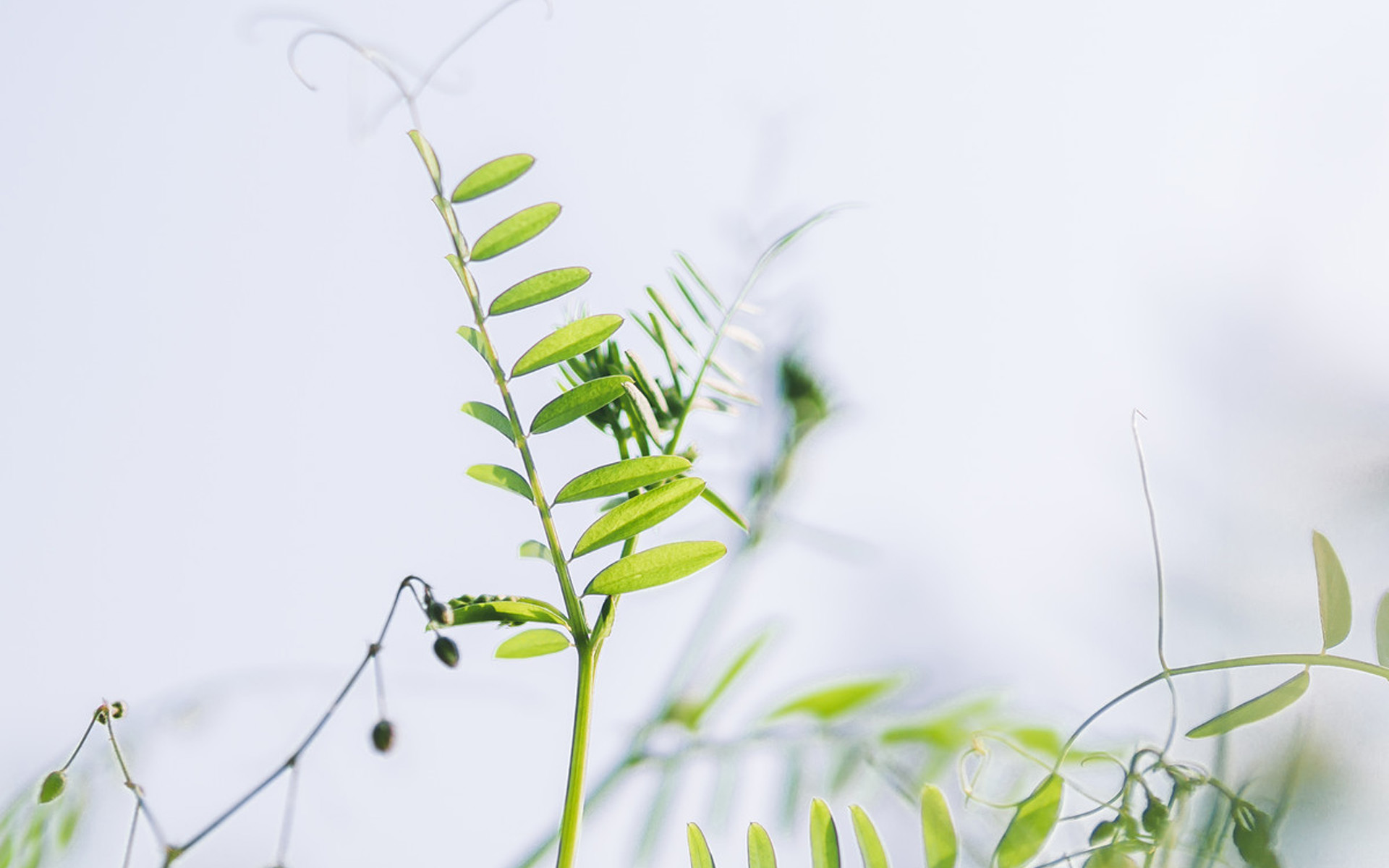 属鼠|属鼠人:要笑“疯”了,7月下旬,最最“大喜事”,都有喜!