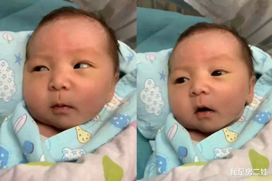 2019年，我干了三件事：买房，养狗，生娃......