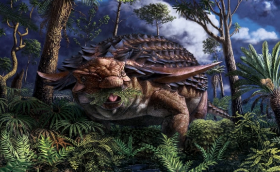 恐龙|1.1亿年前,这只甲龙死前吃了啥?科学家花费数年找到答案