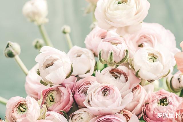 『金牛座』这4个星座若爱你,会促使你变得更优秀