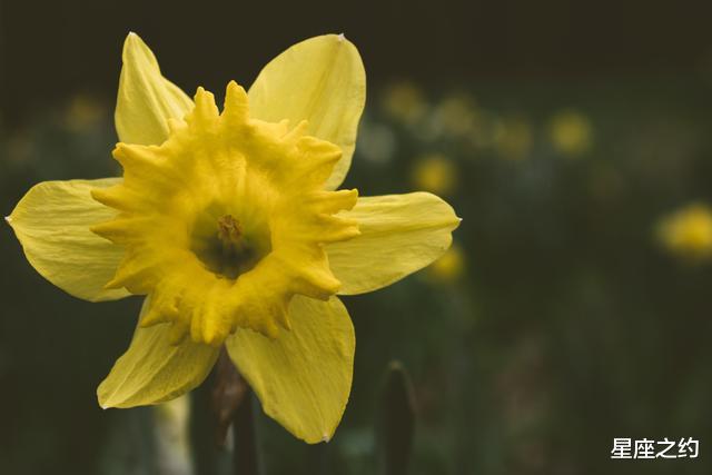 生肖|在8月下旬，旧爱回归，冰释前嫌，倦鸟归林的三大星座