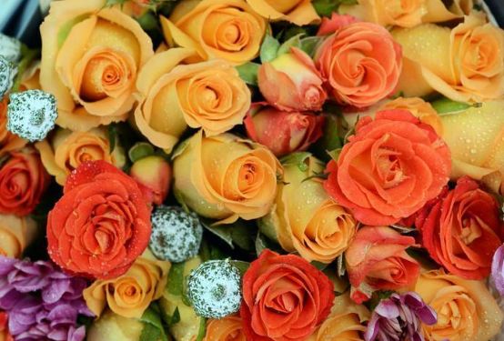 「星座女」越老越迷人的三种生肖女，心态乐观，年过半百依旧风韵犹存