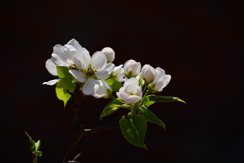 天蝎座|未来十天，四个星座前任回头，重回美好爱情再现，幸福降临