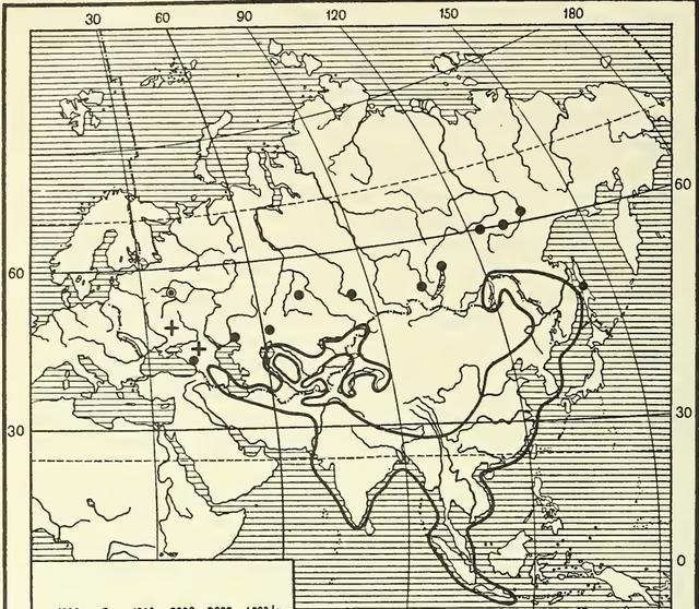 「老虎」蒙古大草原上为什么没有老虎？