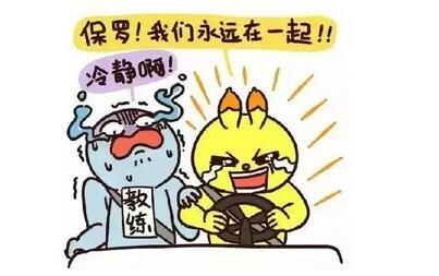 学车|大部分驾校的窗口期来了，都面临着同样的问题，活下去！