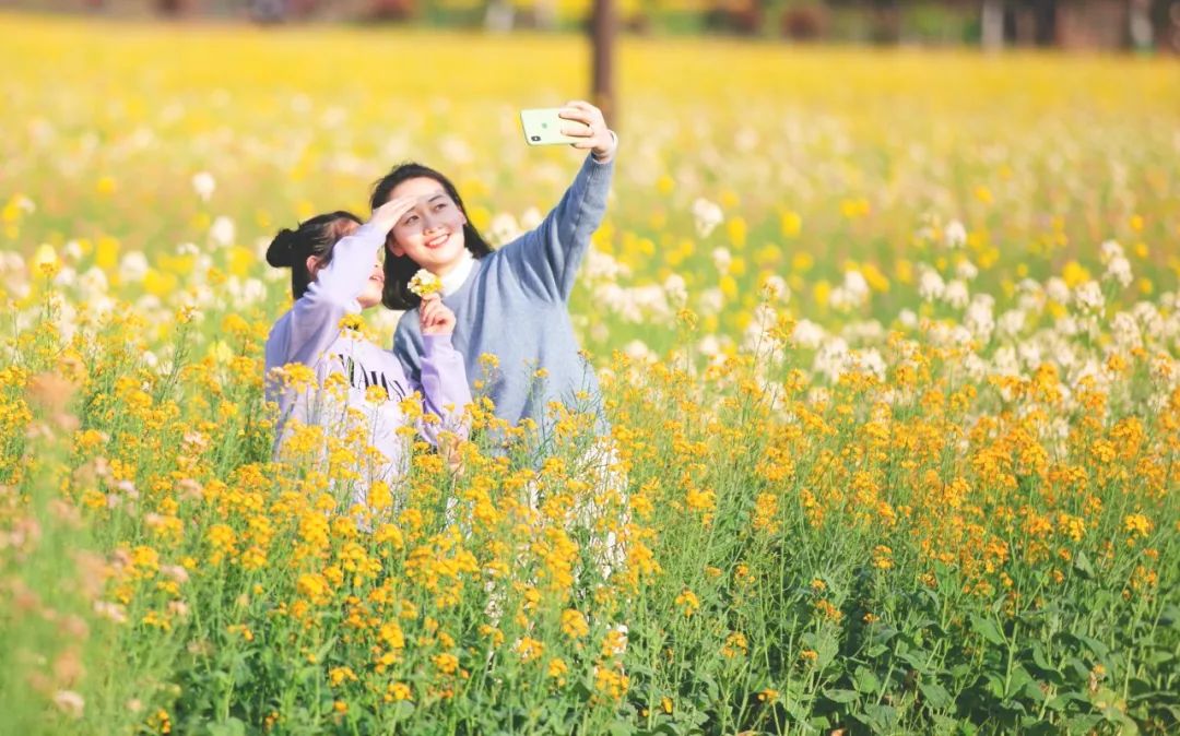 长沙发布|深情告白祖国！长沙连续登上央视，超燃！