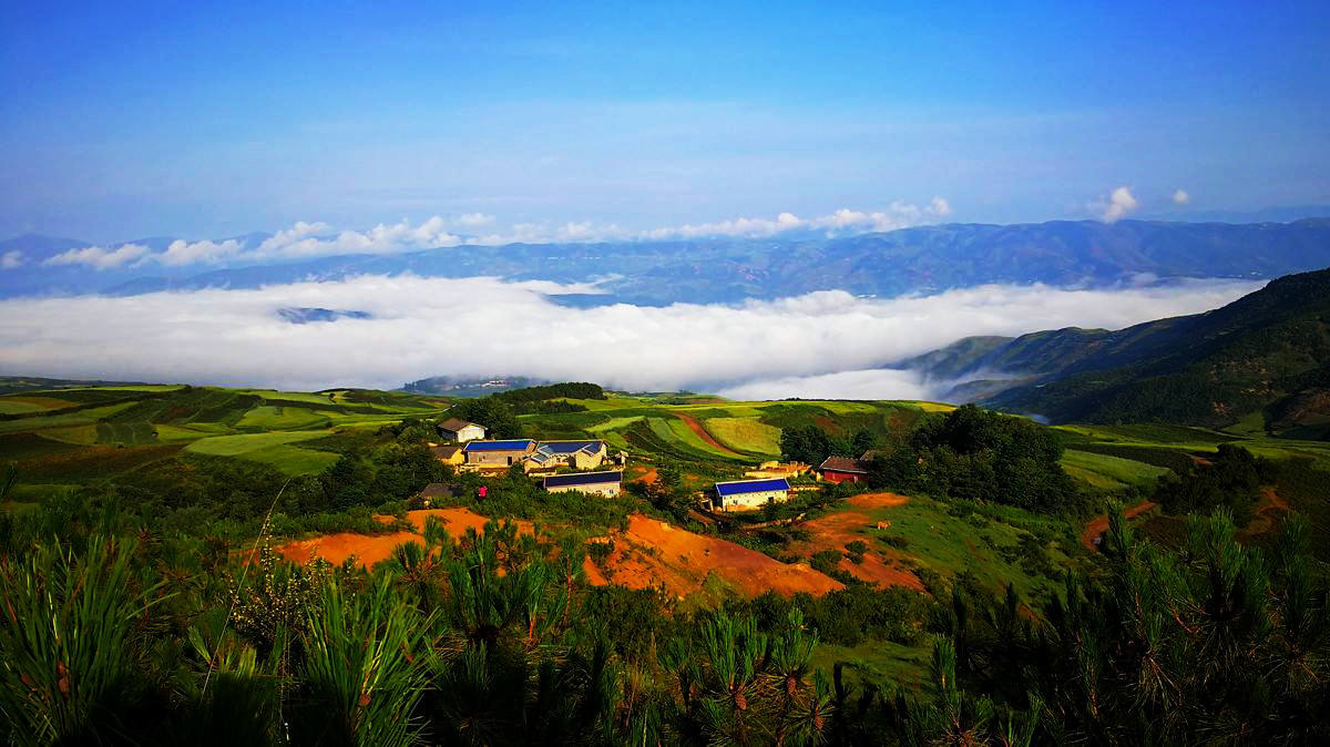 凉山生态环境 西昌生态环境局组织召开市委九届九次全会专题学习会议