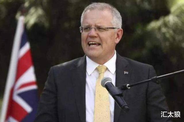 #澳大利亚#澳大利亚：牛肉照样卖给中方，但不因此重新站队，这就是底气！