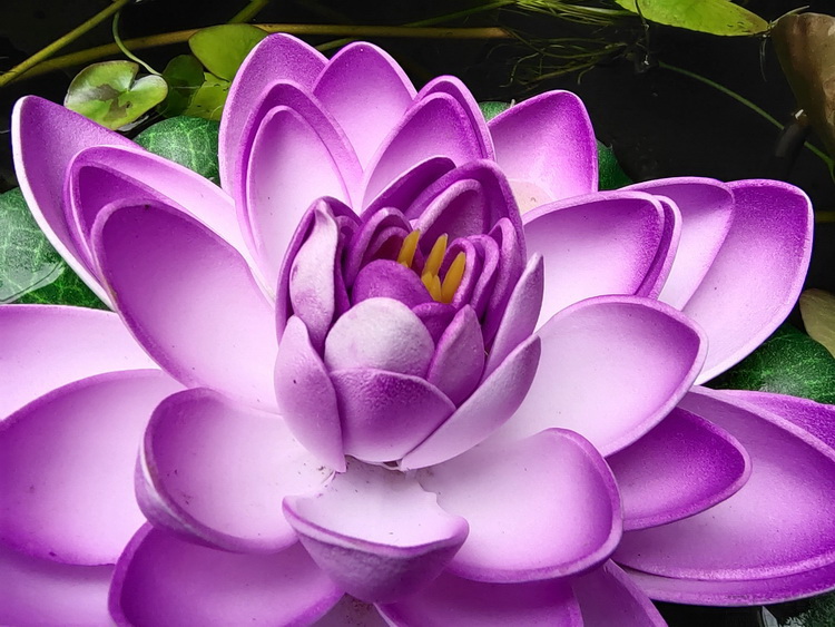 vivo x▲vivo X50 Pro评测： 手机影像防抖革命