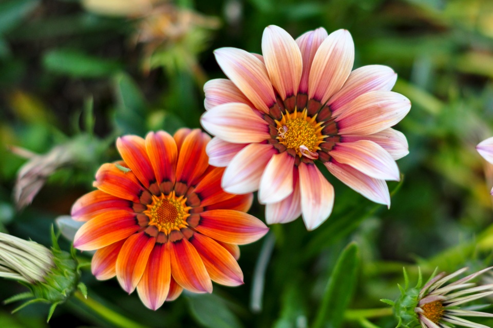 运势|分手后，才明白有多深爱的星座，但早已回不到从前