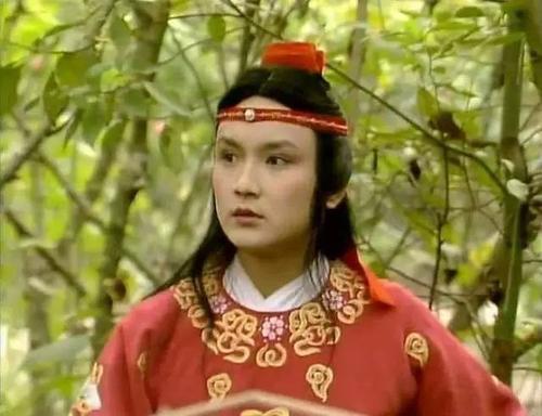 贾赦|红楼梦：别看贾宝玉得宠，贾琮能继承爵位，宝玉不能