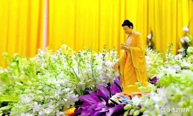 #师父#佛前供的水和果，不是给佛菩萨吃喝的，真正的含义在这里