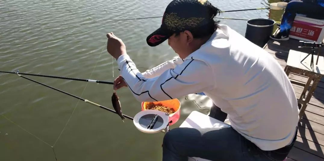 鲫鱼▲夏天钓鱼只能钓深水？那是你不知这几招......