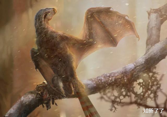 活火熔城▲进化自我复制的8个狂野的例子