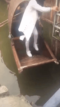 数学|“这个脚型在你们那都是怎么说的？”上数学课都不用带尺子了，哈哈