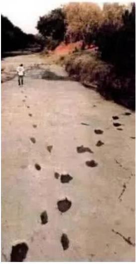 |人类曾多次被毁灭？史前文明照片被曝光，细思恐极