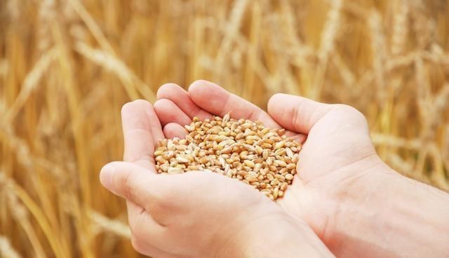 基辛格|为何美国宁愿倒贴钱,也要向中国出口粮食?基辛格一语道破真相!