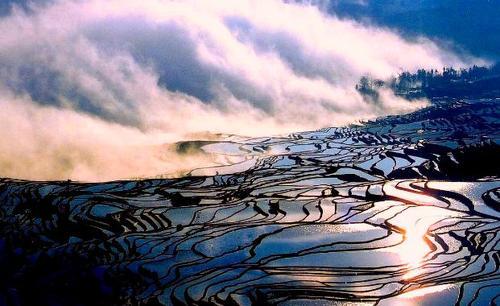 填报志愿|高考填报志愿，别让孩子输在你的无知上！