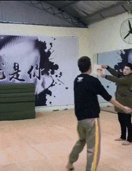 |这个看起来像乌龟的动物到底是什么，不会是外星物种吧