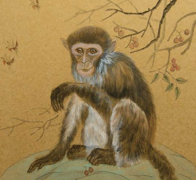 【】猴你一生的贵人出现了, 喜上加喜, 带你转运了