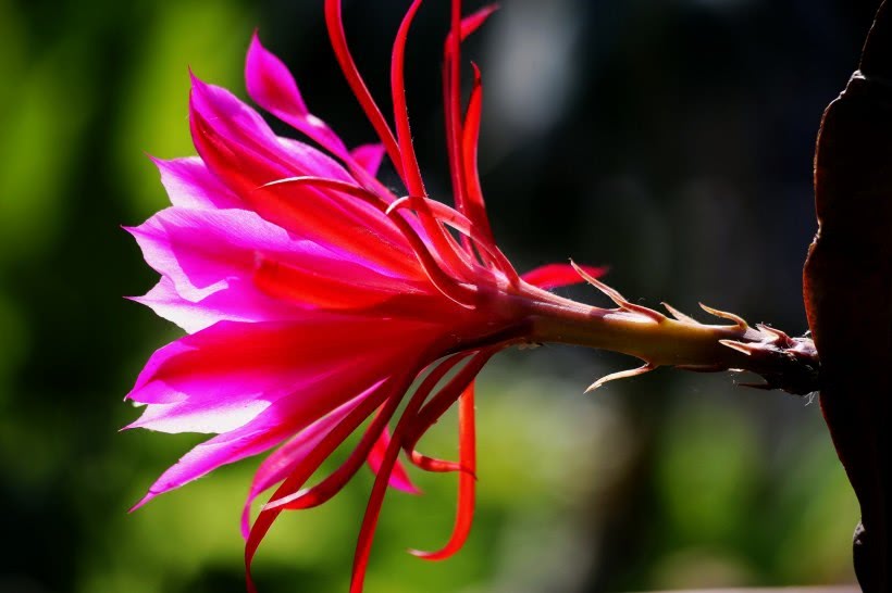 【运势】4月财路大开，贵人扶持，发财的潜力巨大，聚财能力一流的四属相