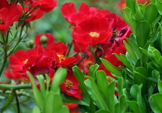 『吉星』6月16日开始，4属相好事进门，顺风顺水，财路大开，越过越有钱