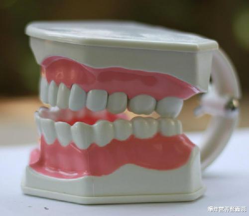 牙龈萎缩|中老年人牙龈萎缩怎么办？趁早改掉两个习惯，老了依然有一口好牙