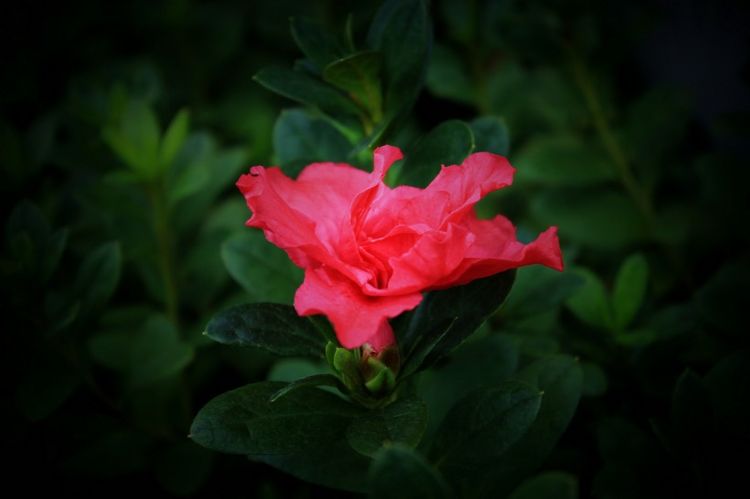 天秤座|下个月,喜降桃花运,好运缠身,相遇真爱,势不可挡的4大星座