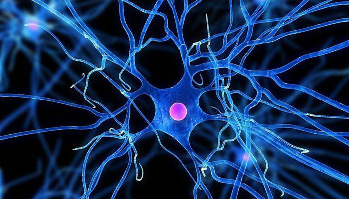 运动|日本人懒于运动,寿命却位居世界第一?长寿秘籍在于“4大习惯”