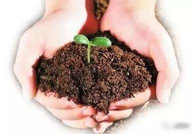 『Java』马云:成功人跟普通人差不多,但这三点我一定要分享给所有年轻人