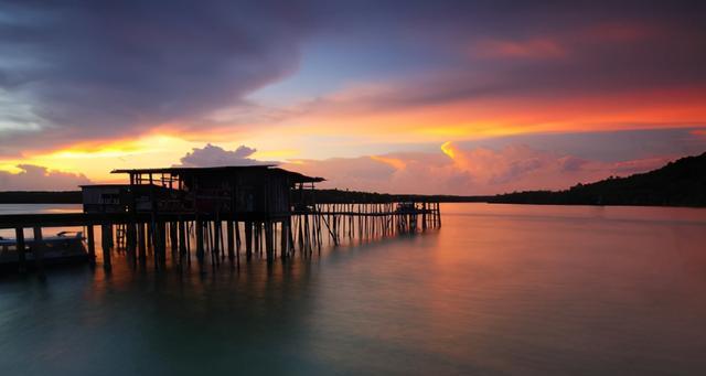 生肖|11月底，跋山涉水不停歇，执着追寻，清醒的前任，却爱得最为荒唐